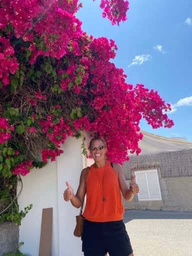 iets over de afbeelding