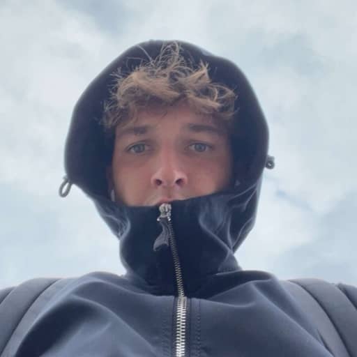 iets over de afbeelding